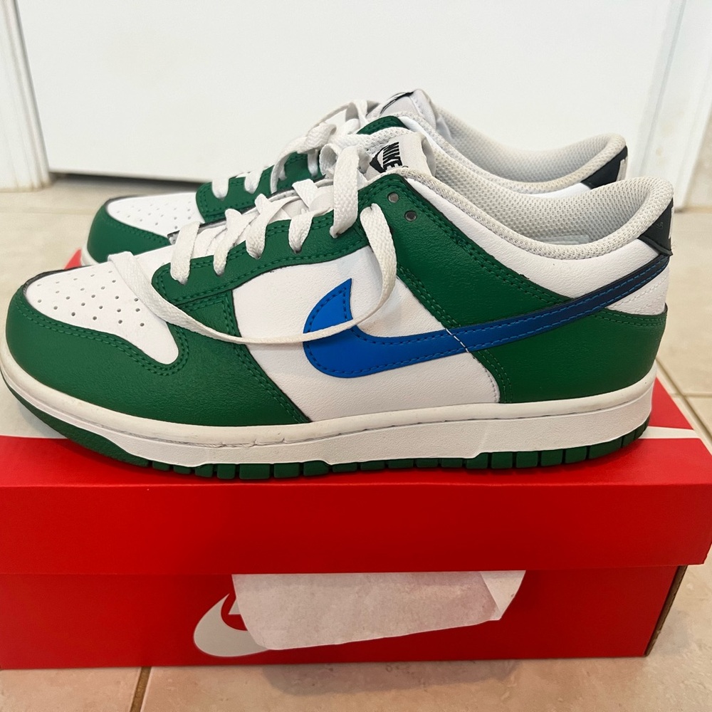 Boys Nike Dunk Low.  Size 6.5 comes with box, worn only a few times.